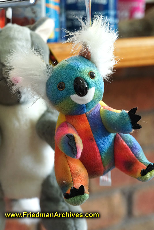 stuffed,animal,koala,rainbow,colorful,